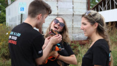 Staff petting dogs